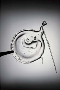 Ferran Adria, Food For Thought