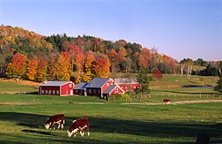 The Berkshires